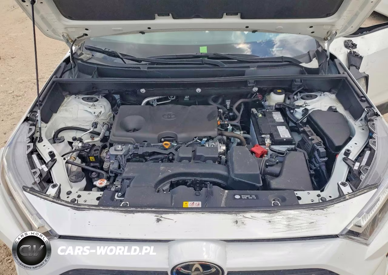 2025 Toyota Rav4 Xle VIN:2T3W1RFV0SC349836 - 11