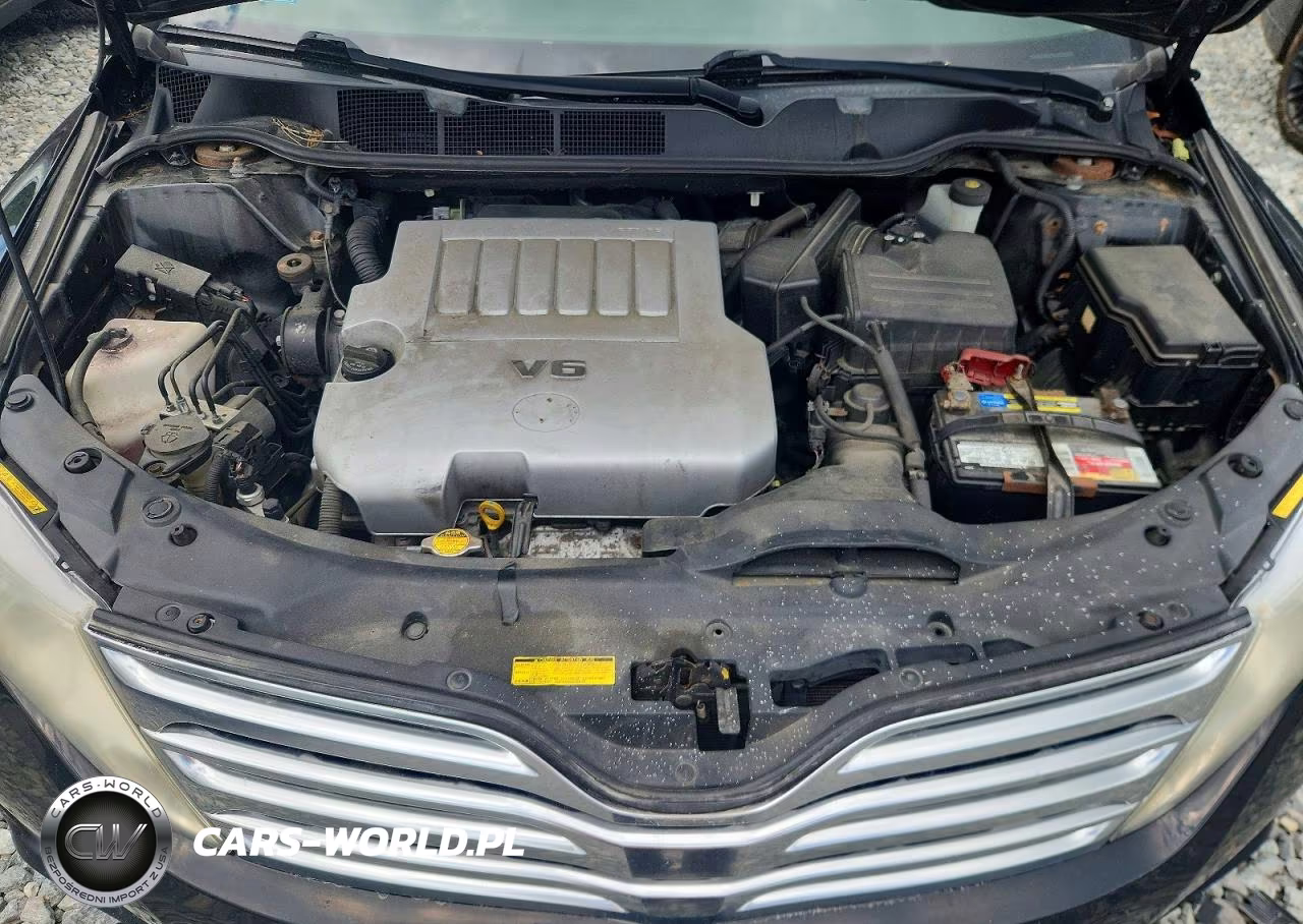 2009 Toyota Venza Awd V6 VIN:4T3BK11A39U001801 - 12