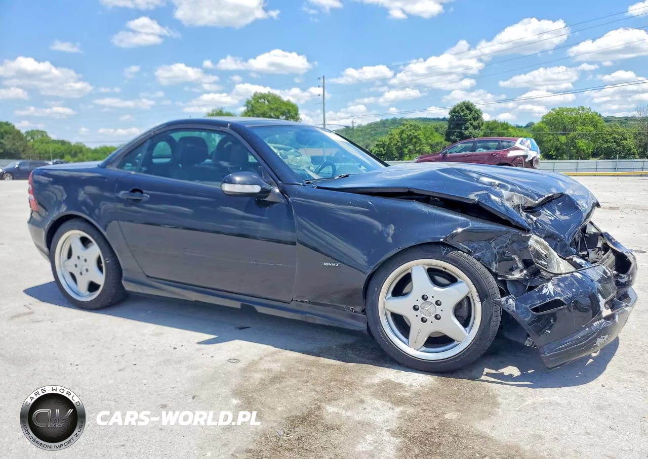 2001 Mercedes-Benz Slk 320 VIN:WDBKK65F31F210737 - 4
