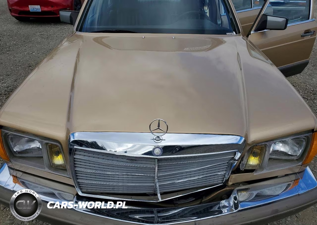 1985 Mercedes-Benz 300 Sd VIN:WDBCB20C1FA186498 - 11