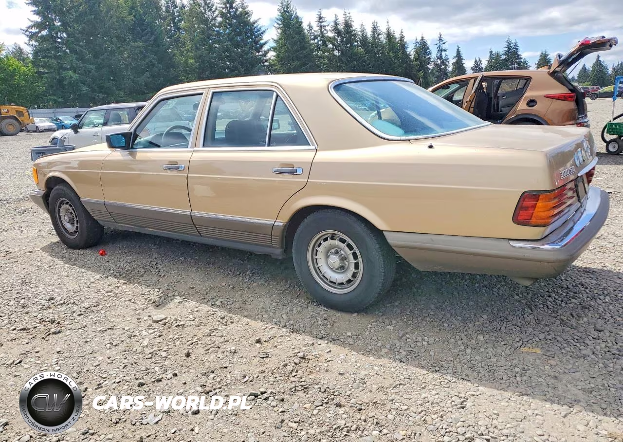1985 Mercedes-Benz 300 Sd VIN:WDBCB20C1FA186498 - 2
