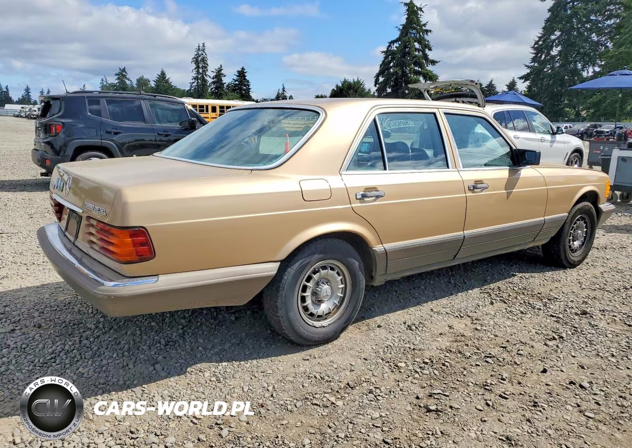 1985 Mercedes-Benz 300 Sd VIN:WDBCB20C1FA186498 - 3