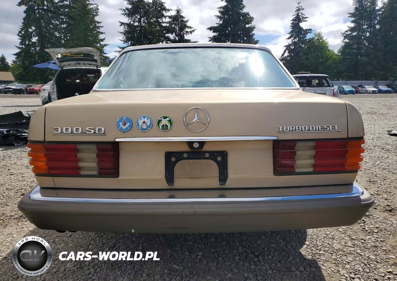 1985 Mercedes-Benz 300 Sd VIN:WDBCB20C1FA186498 - 6