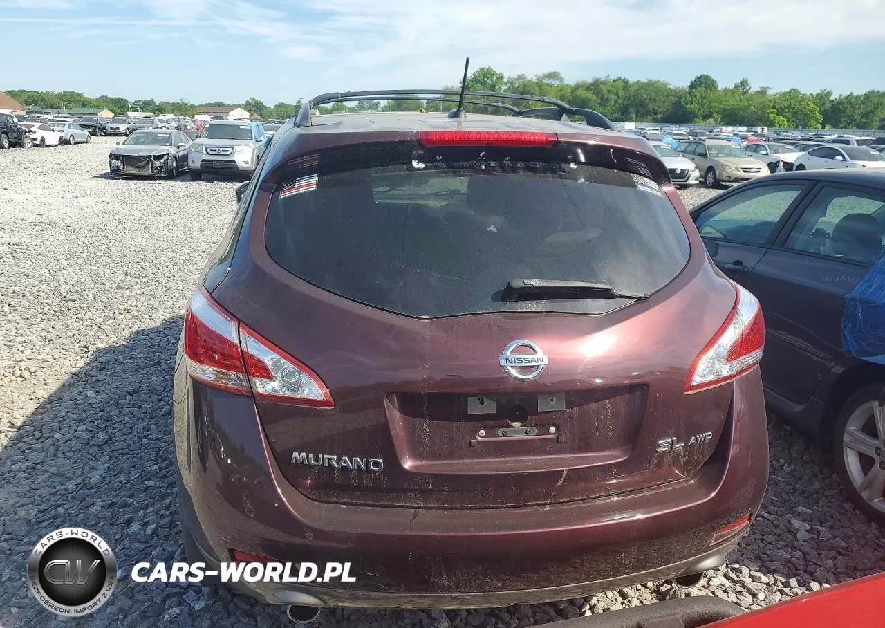 2013 Nissan Murano S-Sl-Le VIN:JN8AZ1MW2DW311483 - 6