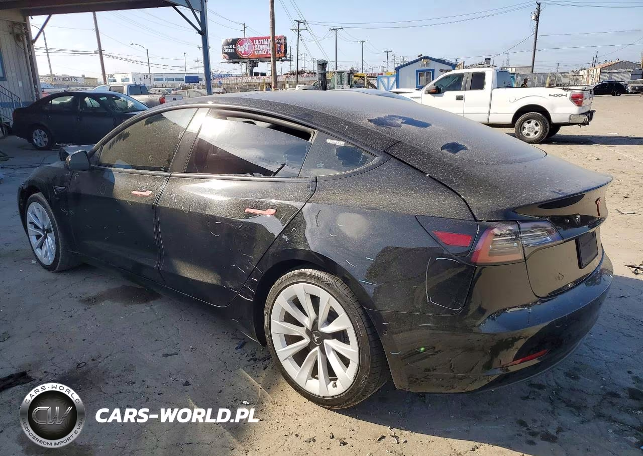 2021 Tesla Model 3 VIN:5YJ3E1EA6MF095905 - 2