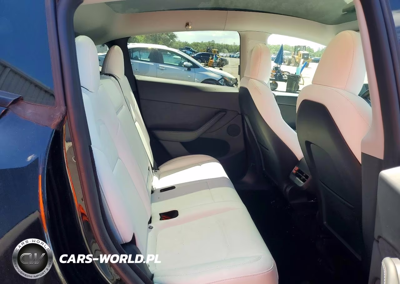 2023 Tesla Model Y VIN:7SAYGDEE3PA183545 - 10
