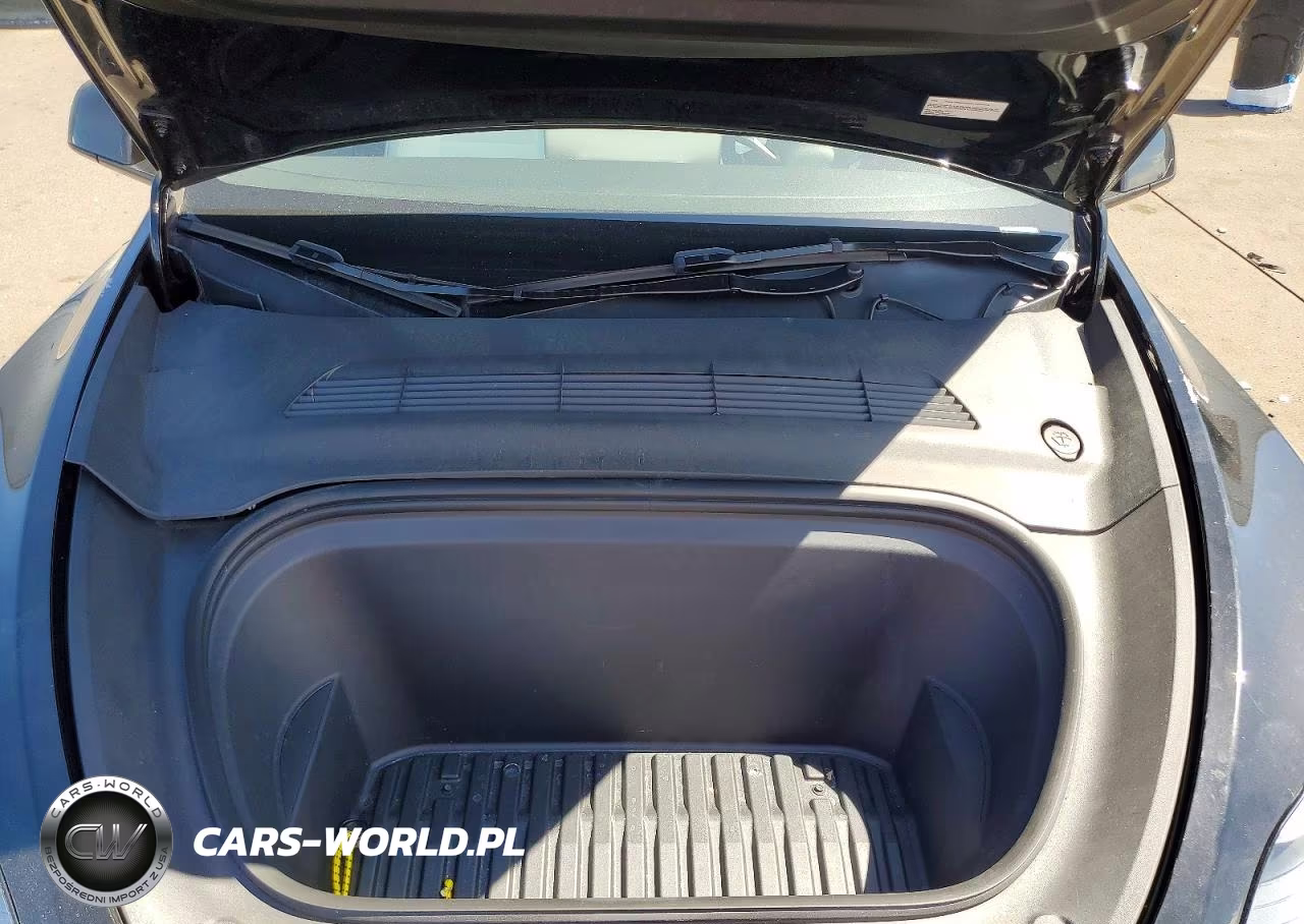 2023 Tesla Model Y VIN:7SAYGDEE3PA183545 - 11