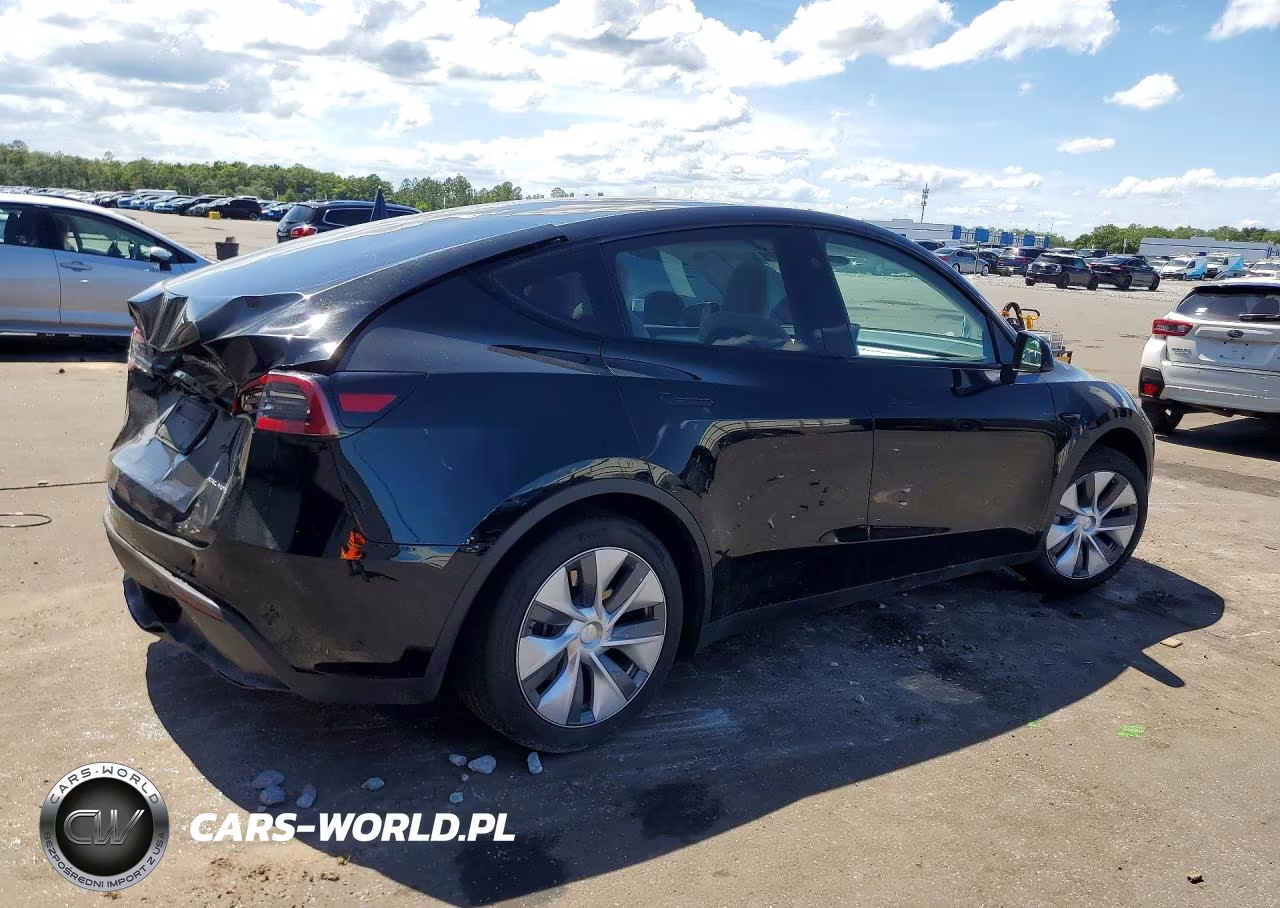 2023 Tesla Model Y VIN:7SAYGDEE3PA183545 - 3