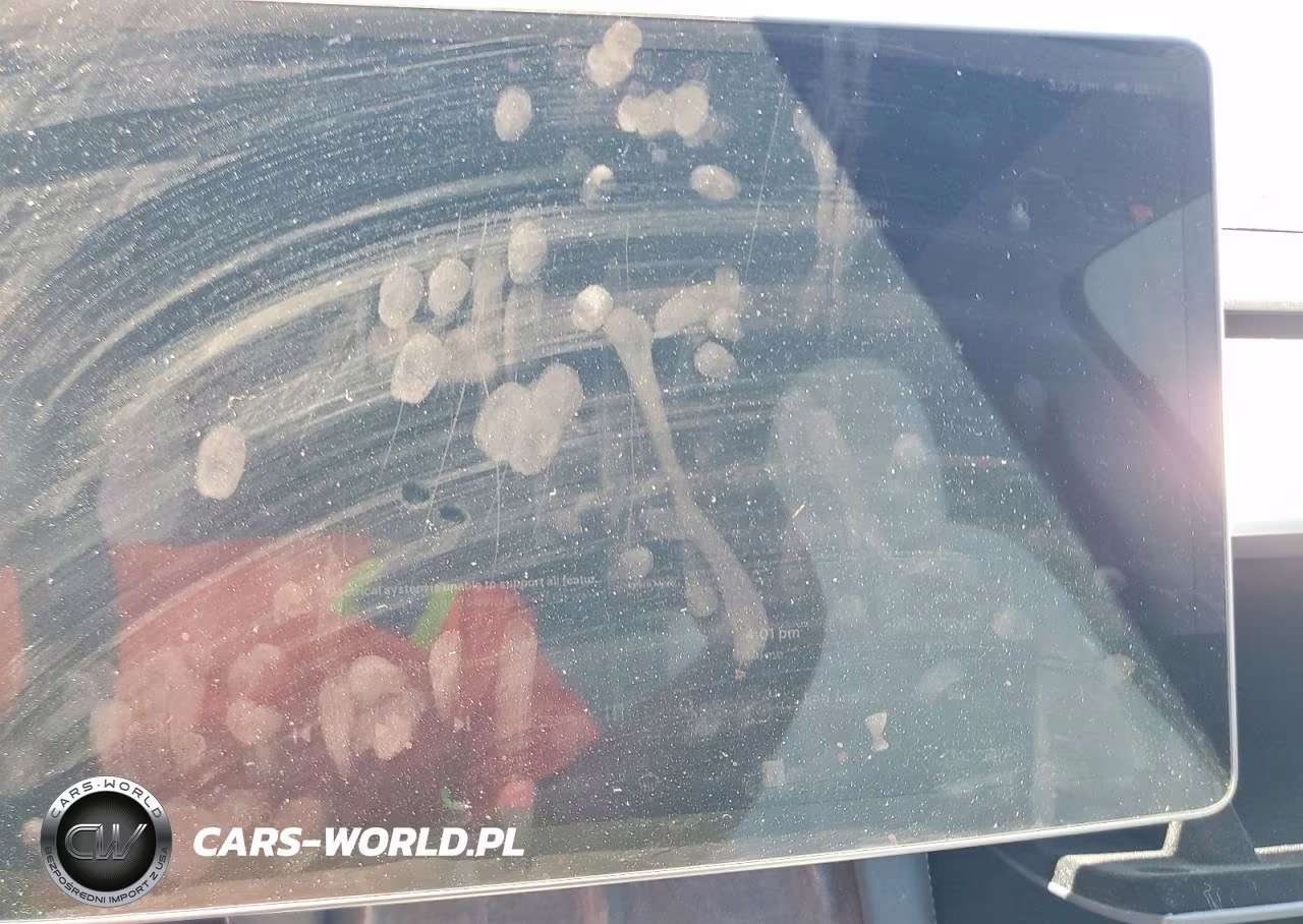 2023 Tesla Model Y VIN:7SAYGDEE3PA183545 - 9