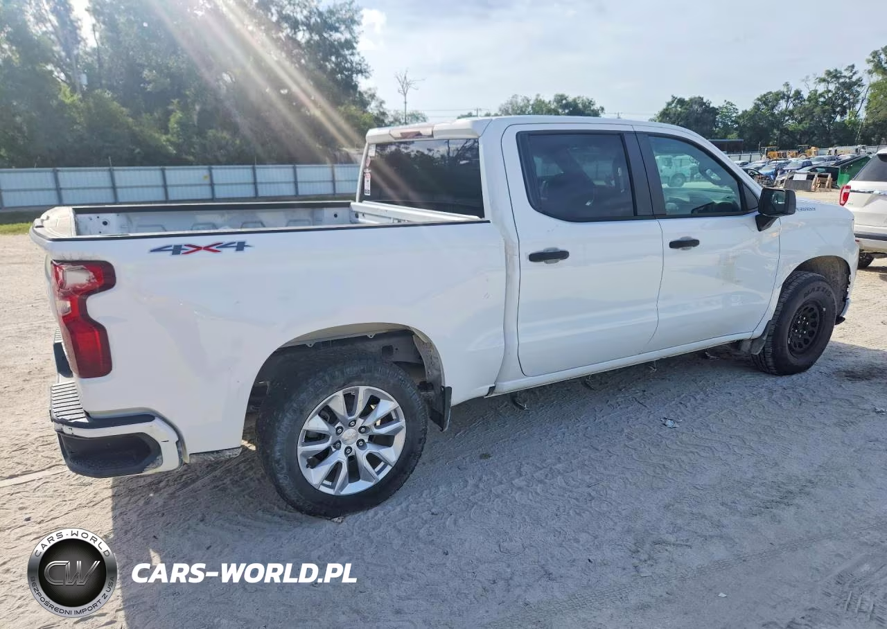 2019 Chevrolet Silverado K1500 Custom VIN:1GCUYBEF7KZ245055 - 3