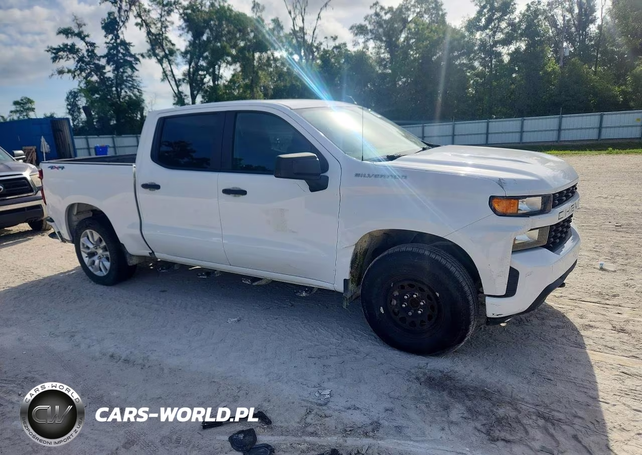 2019 Chevrolet Silverado K1500 Custom VIN:1GCUYBEF7KZ245055 - 4