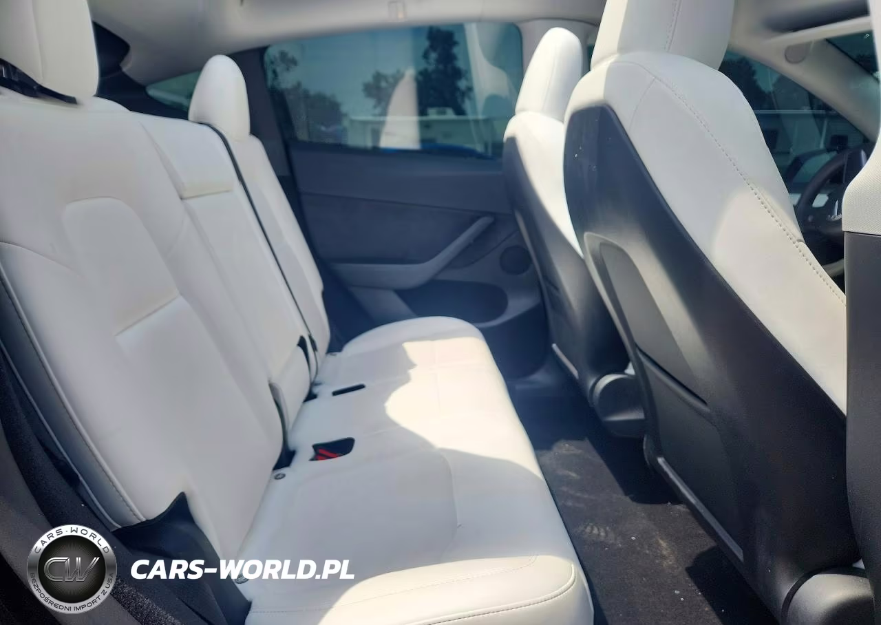 2023 Tesla Model Y VIN:7SAYGDEF7PF892359 - 10