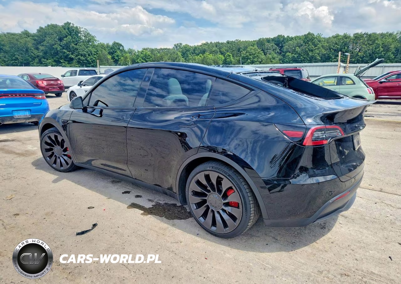 2023 Tesla Model Y VIN:7SAYGDEF7PF892359 - 2