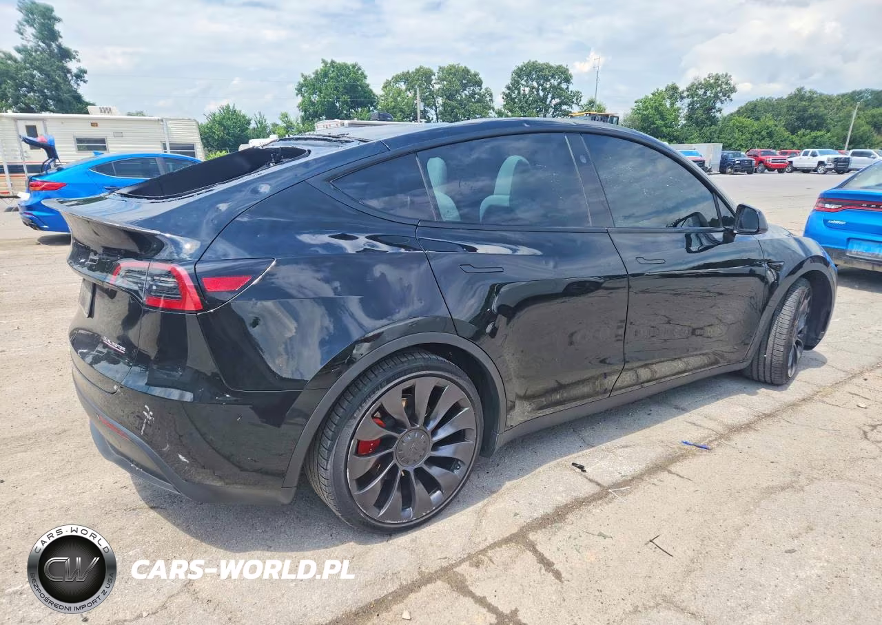 2023 Tesla Model Y VIN:7SAYGDEF7PF892359 - 3