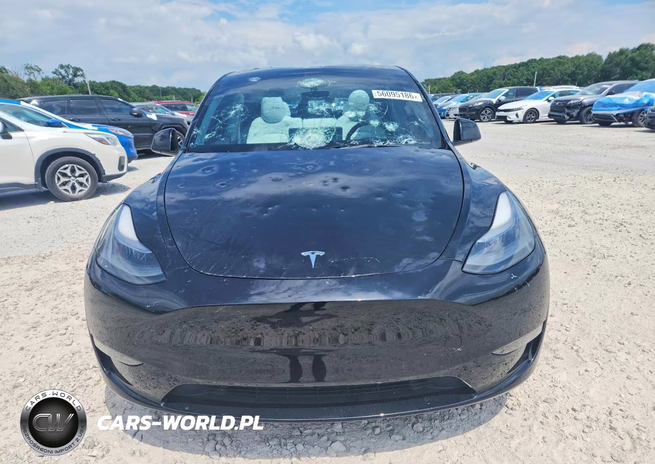 2023 Tesla Model Y VIN:7SAYGDEF7PF892359 - 5