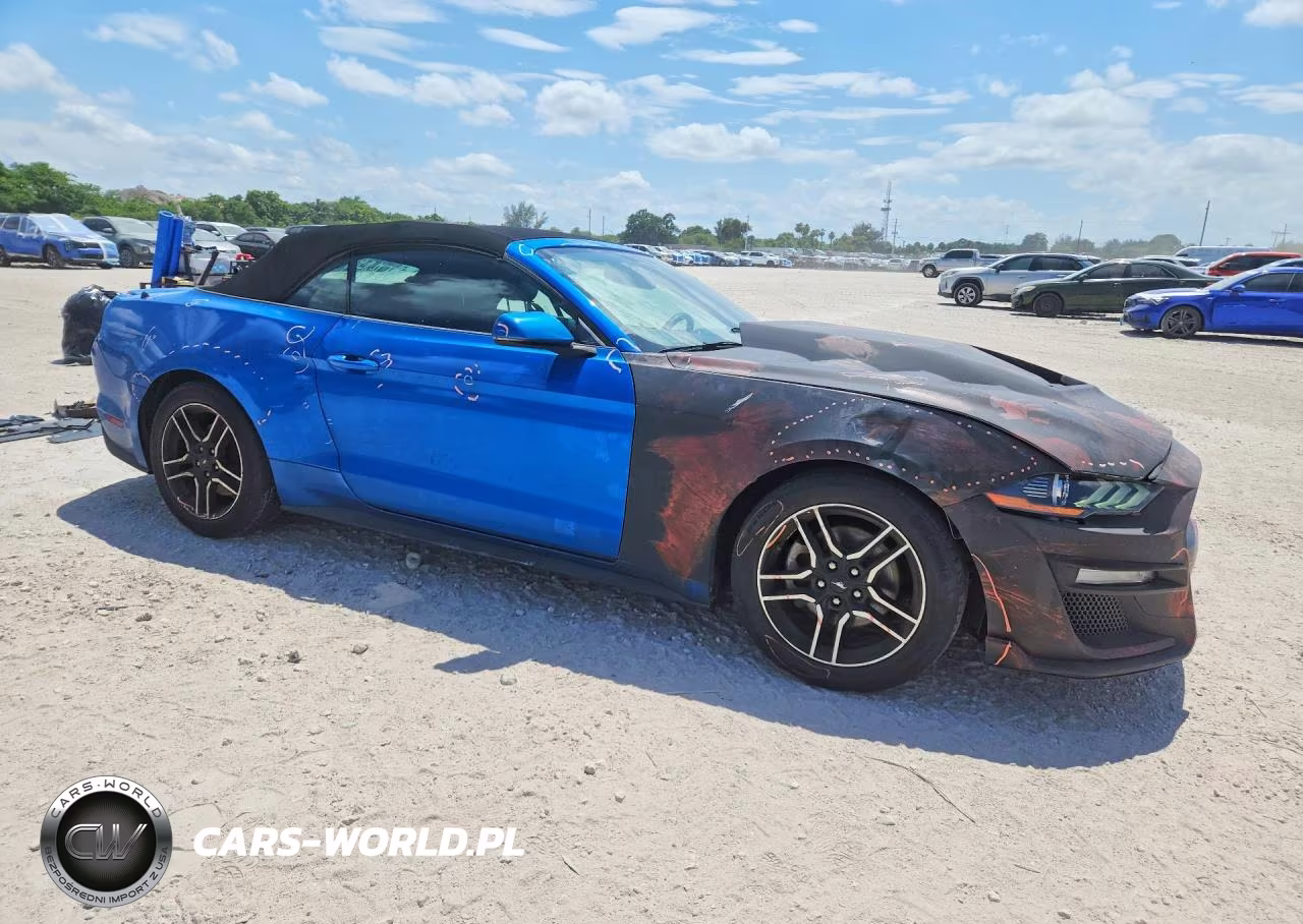 2020 Ford Mustang VIN:1FATP8UH5L5139755 - 4