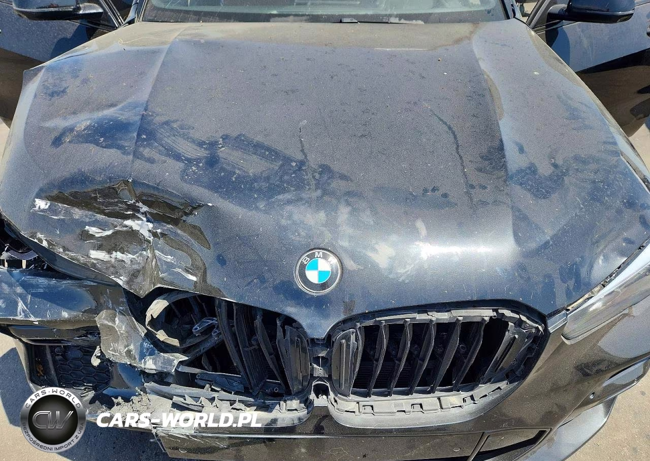 2019 BMW X5 VIN:5UXCR6C50KLK79480 - 12