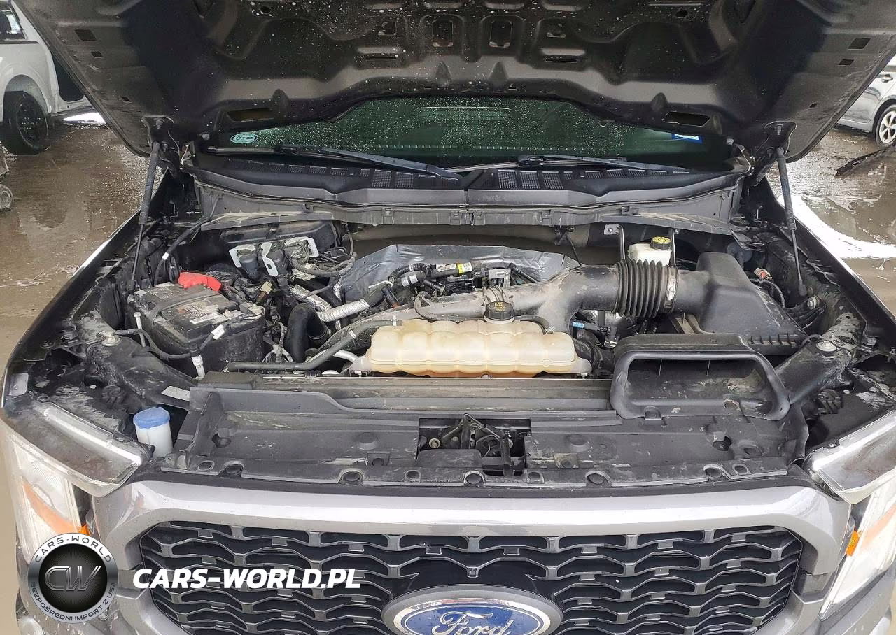 2021 Ford F150 Supercrew VIN:1FTEW1CP4MKE92061 - 12