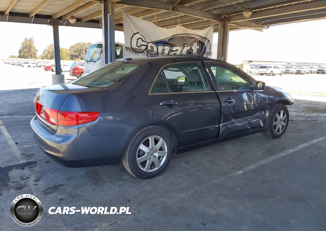 2005 Honda Accord Ex VIN:1HGCM66505A016998 - 3