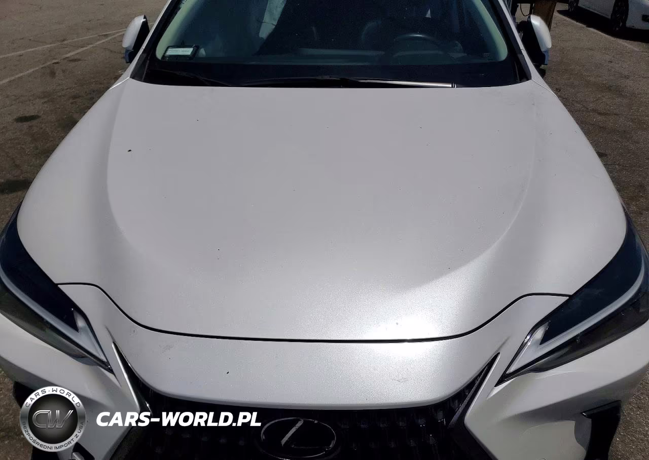 2022 Lexus Nx 350H VIN:JTJAKCEZ6N5002723 - 12