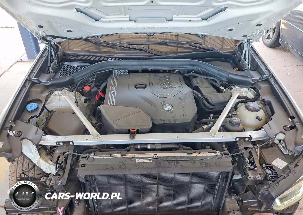 2024 BMW X3 Sdrive30I VIN:5UX43DP00R9U63236 - 12