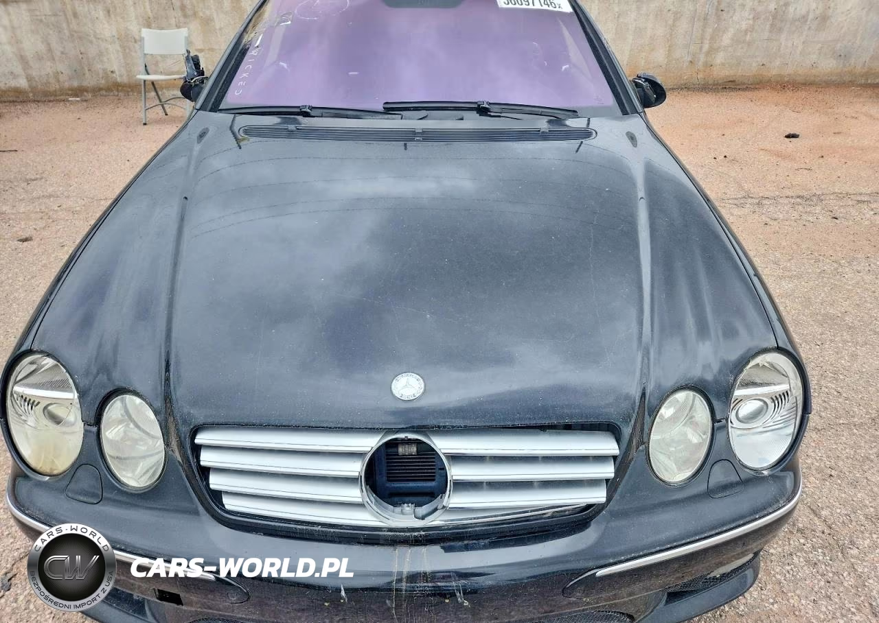 2003 Mercedes-Benz Cl 55 Amg VIN:WDBPJ74J83A035664 - 11