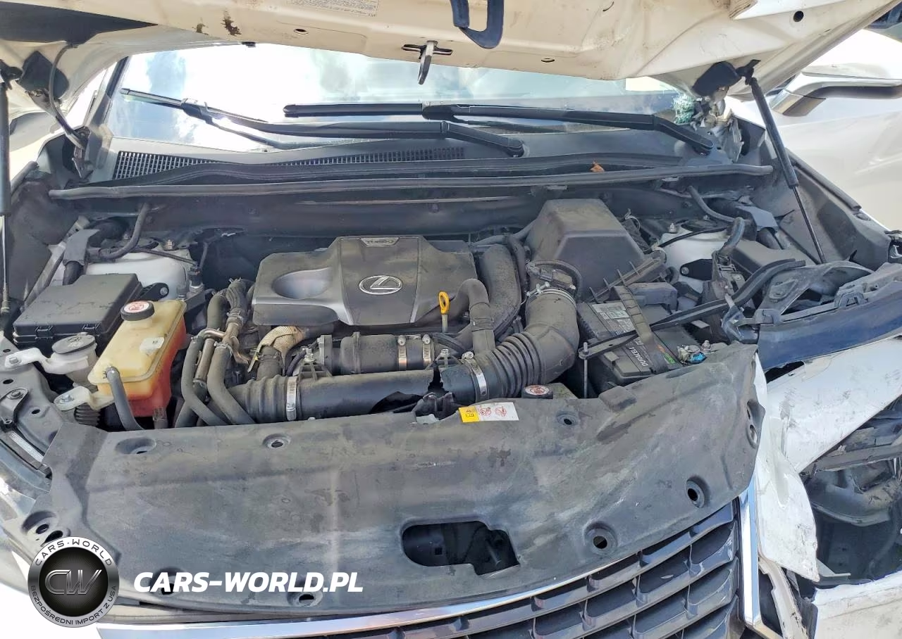 2019 Lexus Nx 300 Base VIN:JTJYARBZ9K2129701 - 12
