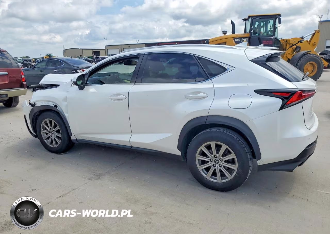 2019 Lexus Nx 300 Base VIN:JTJYARBZ9K2129701 - 2