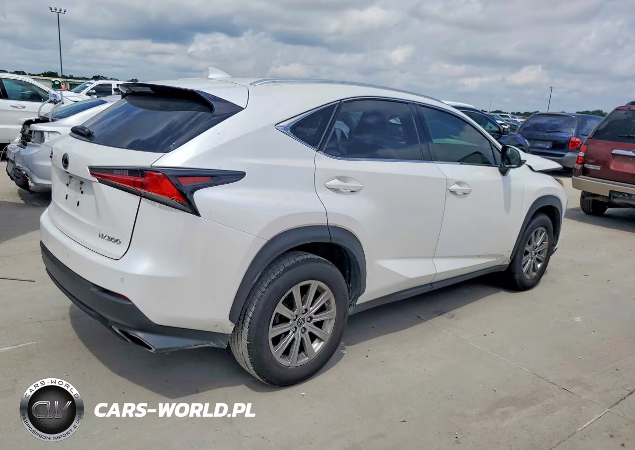 2019 Lexus Nx 300 Base VIN:JTJYARBZ9K2129701 - 3