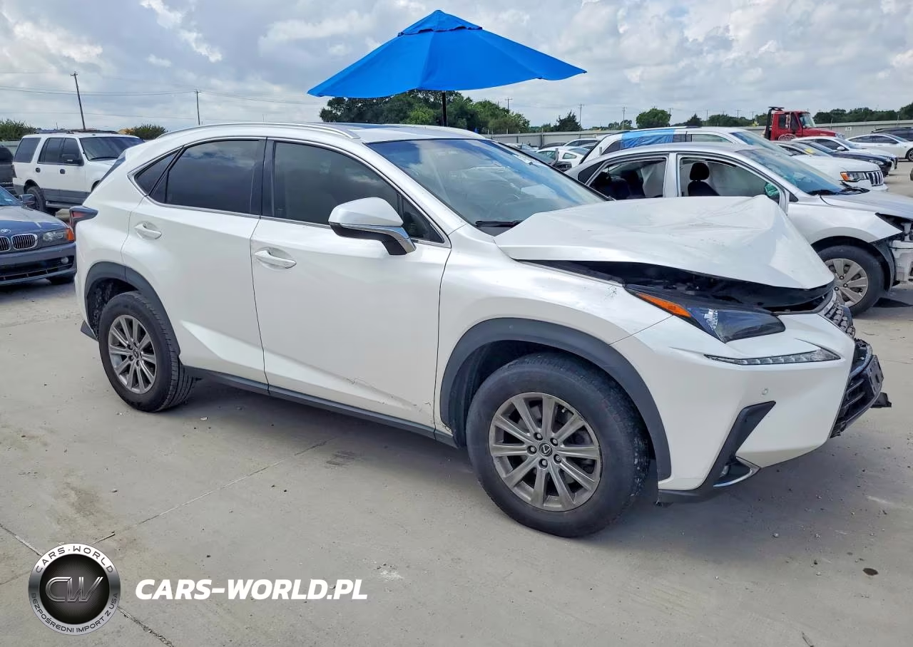 2019 Lexus Nx 300 Base VIN:JTJYARBZ9K2129701 - 4