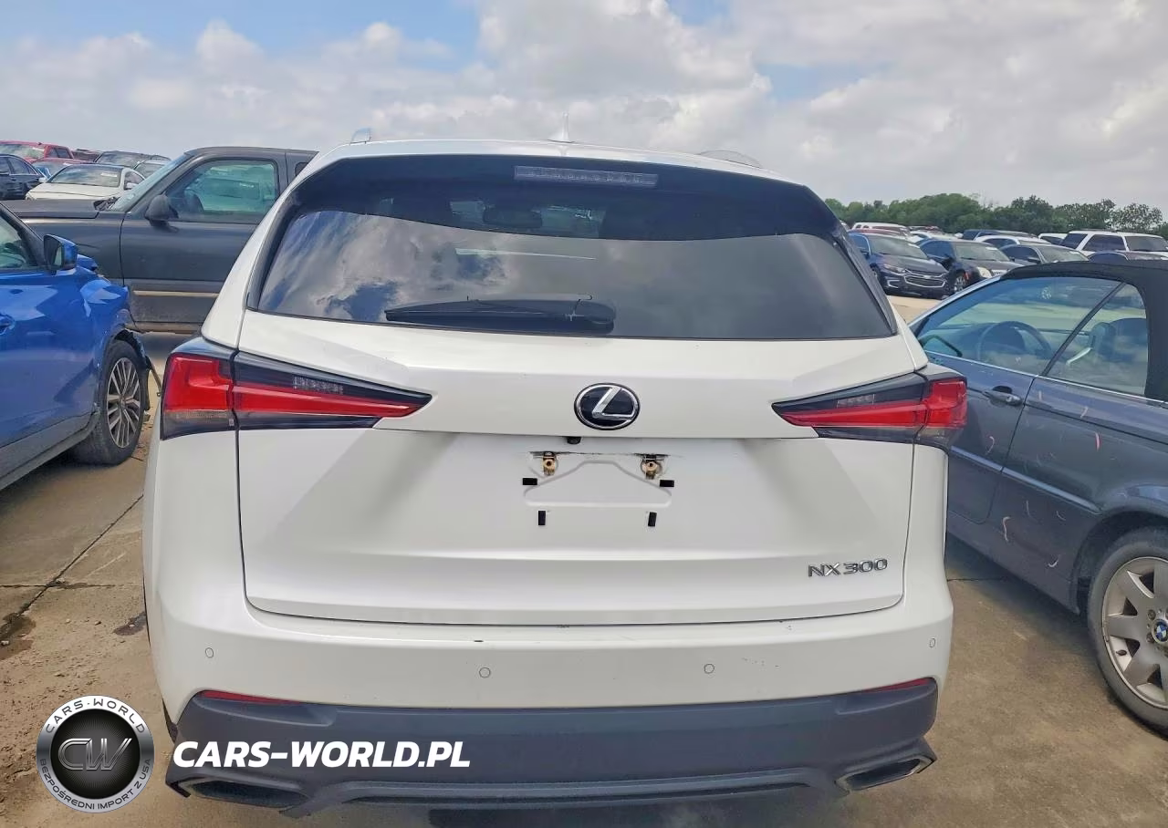2019 Lexus Nx 300 Base VIN:JTJYARBZ9K2129701 - 6