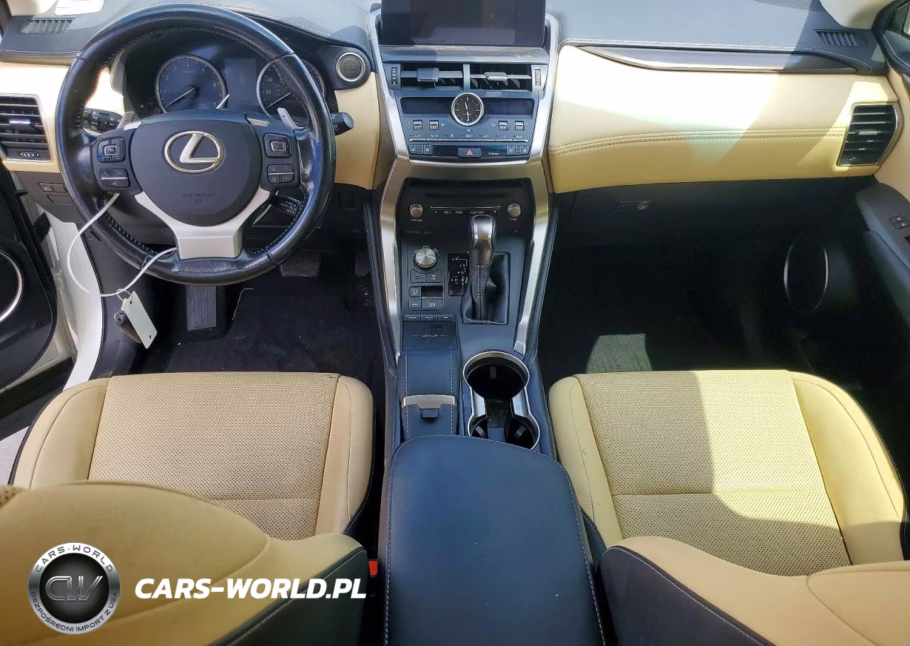 2019 Lexus Nx 300 Base VIN:JTJYARBZ9K2129701 - 8