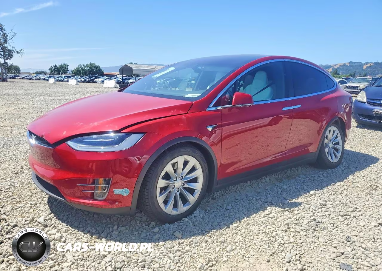 2019 Tesla Model X