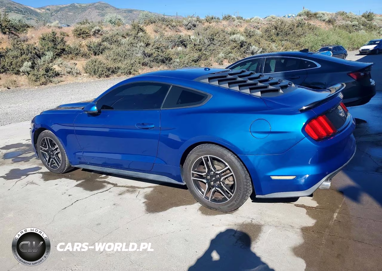 2017 Ford Mustang VIN:1FA6P8TH7H5257232 - 2