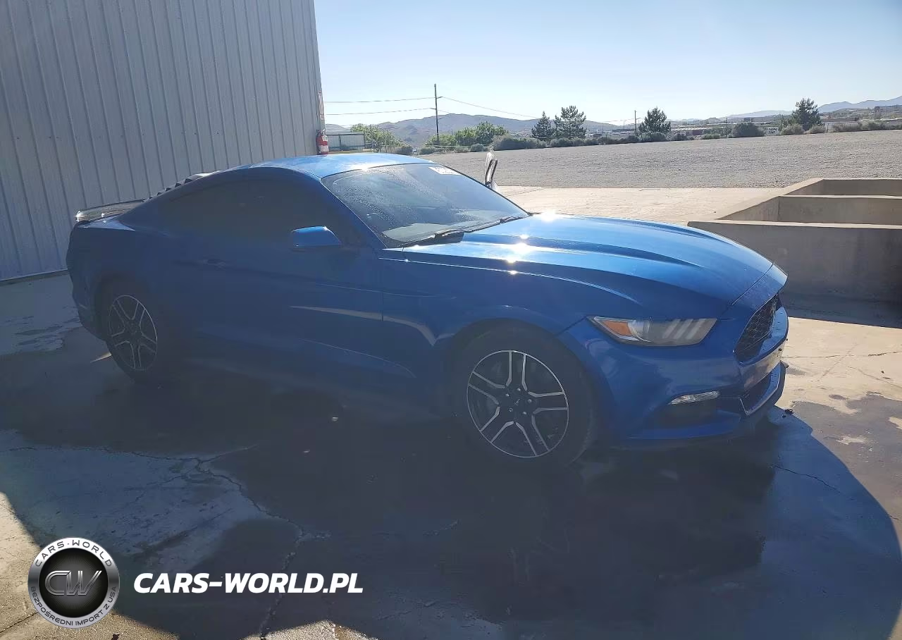 2017 Ford Mustang VIN:1FA6P8TH7H5257232 - 4