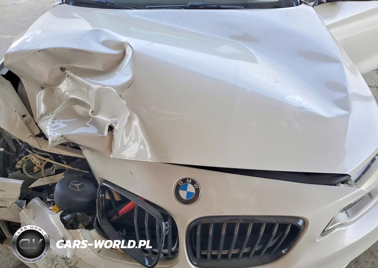 2015 BMW M235Xi VIN:WBA1J9C54FVX99254 - 11