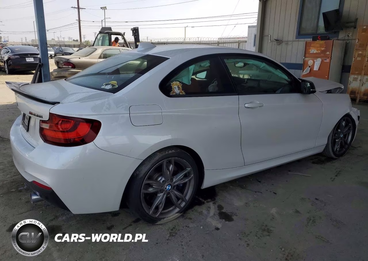 2015 BMW M235Xi VIN:WBA1J9C54FVX99254 - 3
