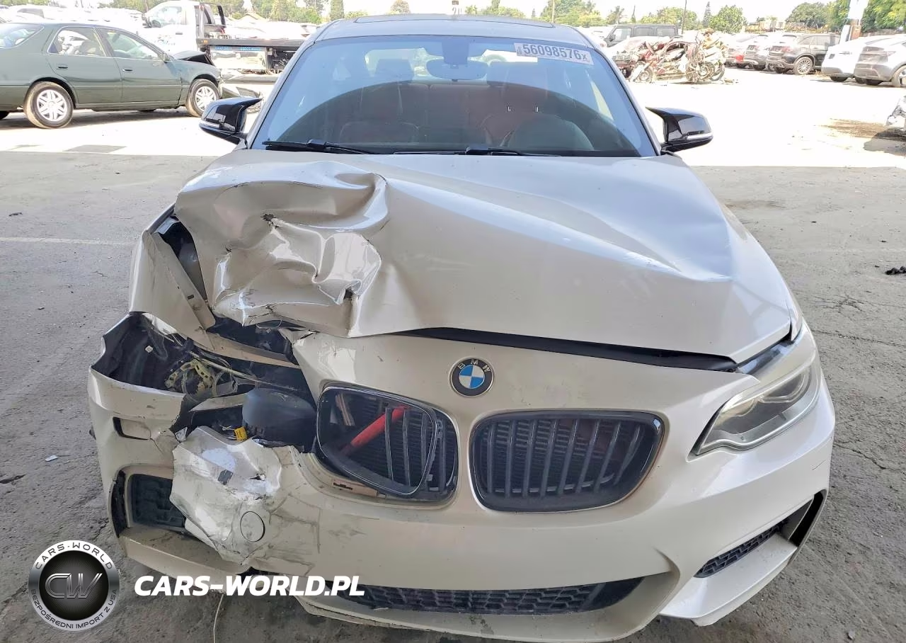 2015 BMW M235Xi VIN:WBA1J9C54FVX99254 - 5