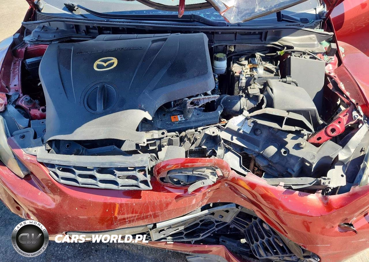 2007 Mazda Cx-7 VIN:JM3ER293X70115078 - 11