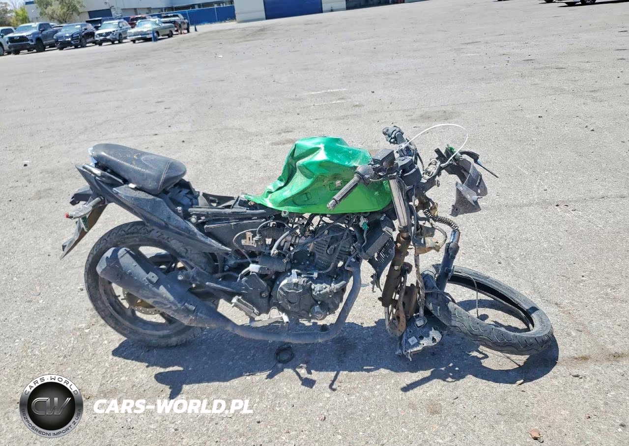 2022 Zero Motorcycles Inc Ds – zdjęcie 1 z 9