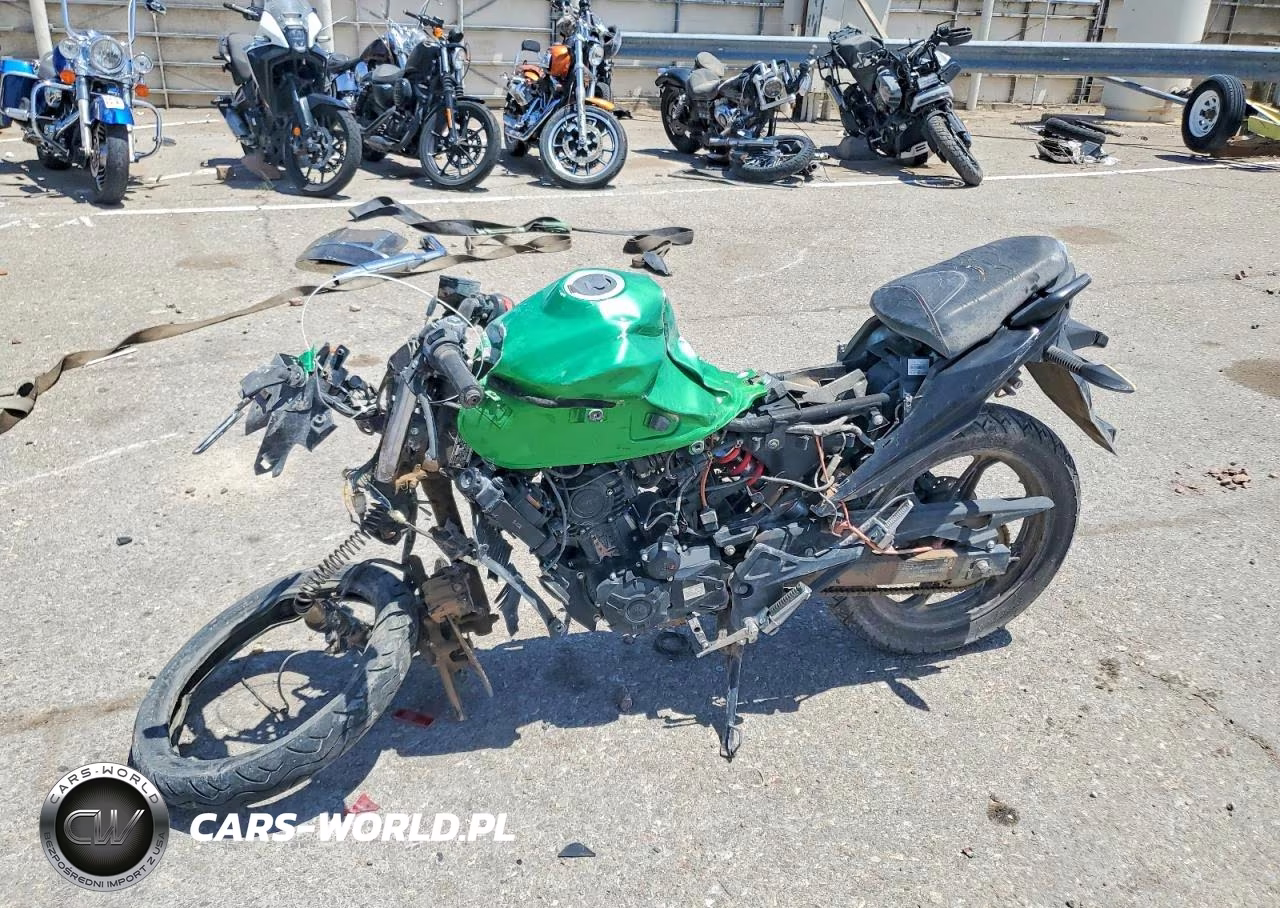 2022 Zero Motorcycles Inc Ds VIN:LXAPRVP73NX000526 - 3
