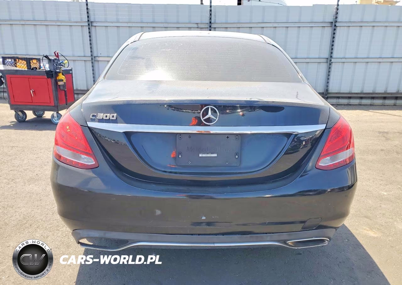2016 Mercedes-Benz C 300 VIN:55SWF4JB4GU112049 - 6