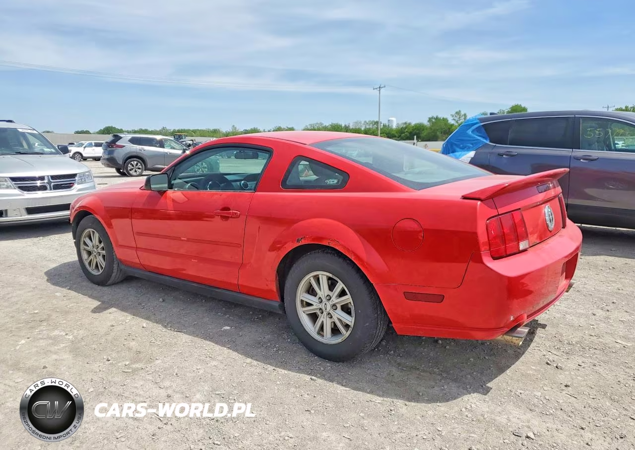 2005 Ford Mustang VIN:1ZVFT80NX55206378 - 2