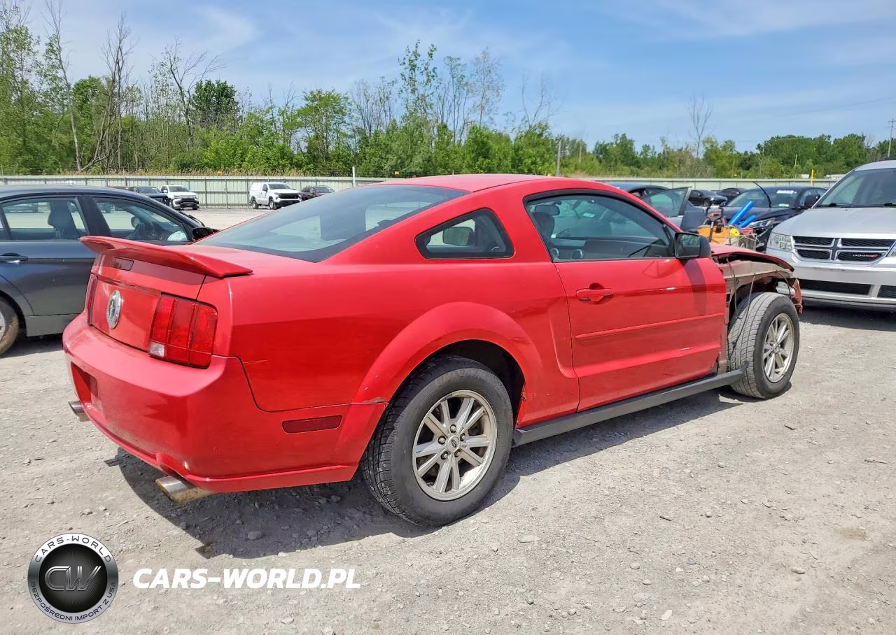 2005 Ford Mustang VIN:1ZVFT80NX55206378 - 3