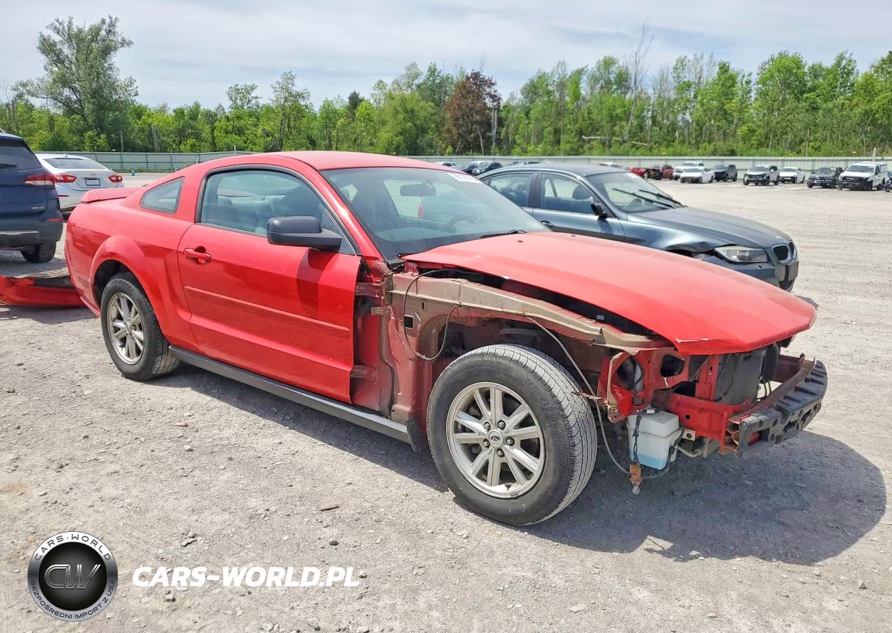 2005 Ford Mustang VIN:1ZVFT80NX55206378 - 4
