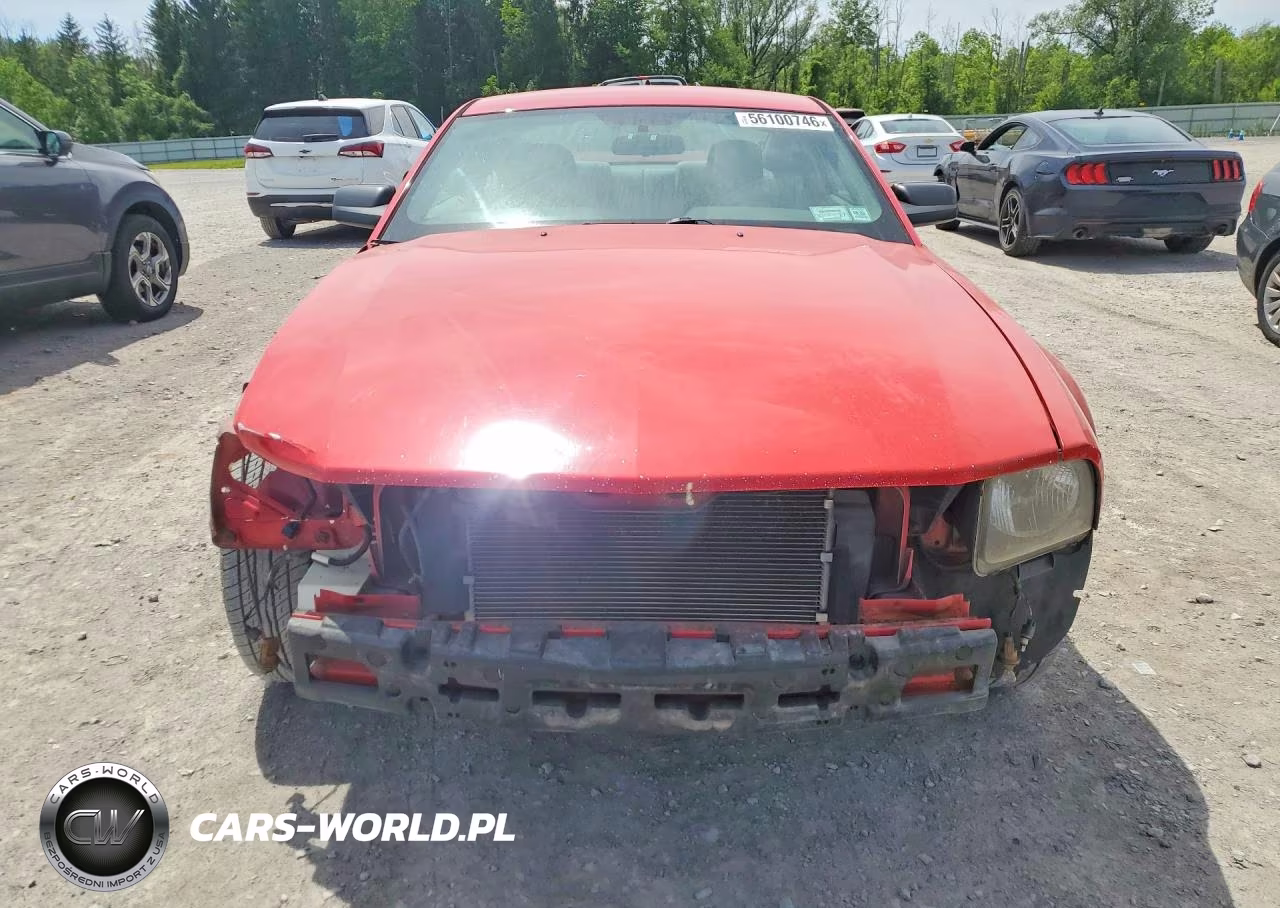 2005 Ford Mustang VIN:1ZVFT80NX55206378 - 5