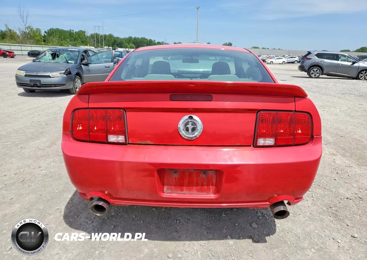 2005 Ford Mustang VIN:1ZVFT80NX55206378 - 6