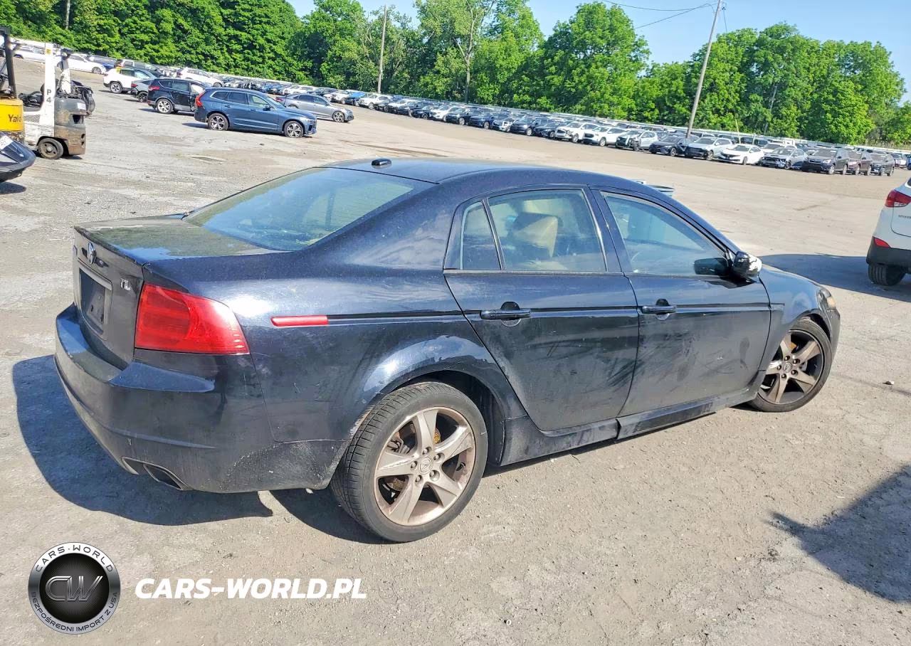 2004 Acura Tl VIN:19UUA66274A012092 - 3