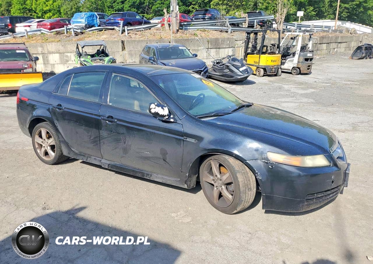 2004 Acura Tl VIN:19UUA66274A012092 - 4