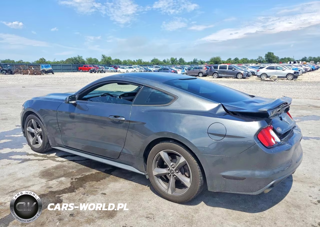 2016 Ford Mustang VIN:1FA6P8AM8G5251034 - 2